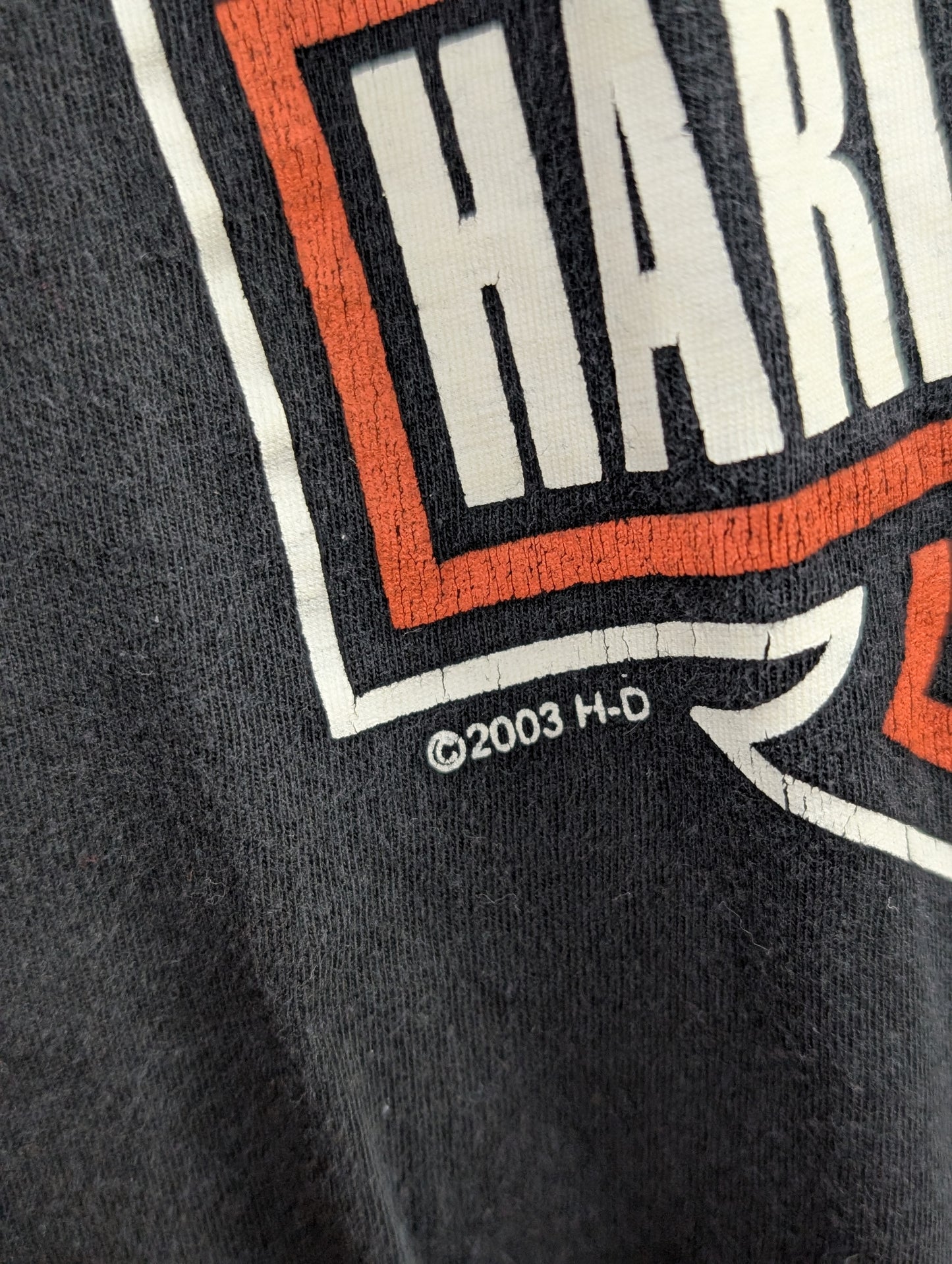Y2k Harley-Davidson t-shirt extra large, Brazil