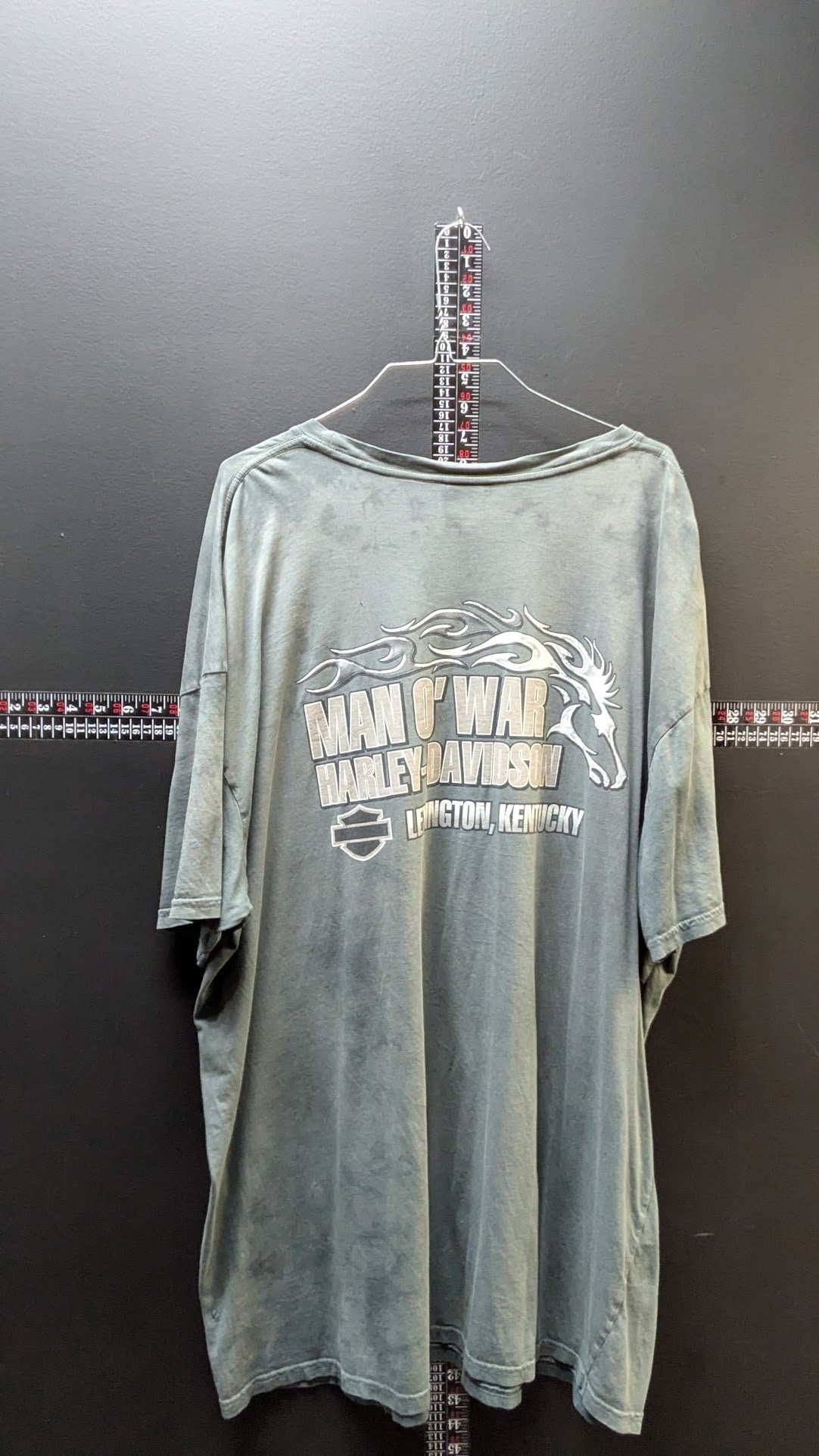 Harley-Davidson Skull T-Shirt Men's 3XL Gray Acid Wash Man O War Kentucky