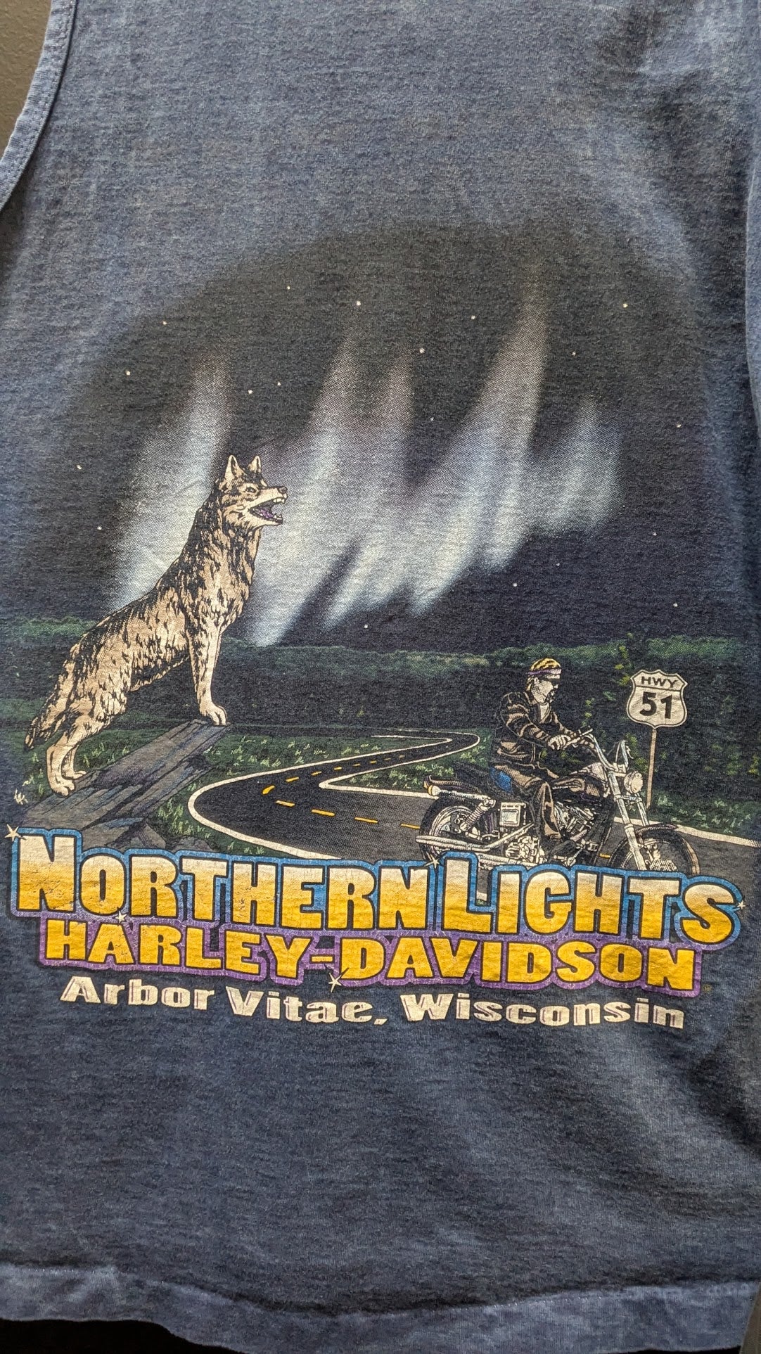 Harley-Davidson Northern Lights Wisconsin Tank Top Medium Blue Live Free Biker Shirt