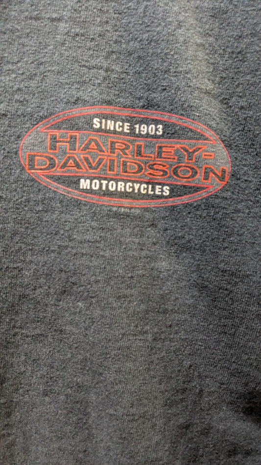 Vintage 1998 Harley-Davidson Kingman Arizona Henley T-Shirt – Size L
