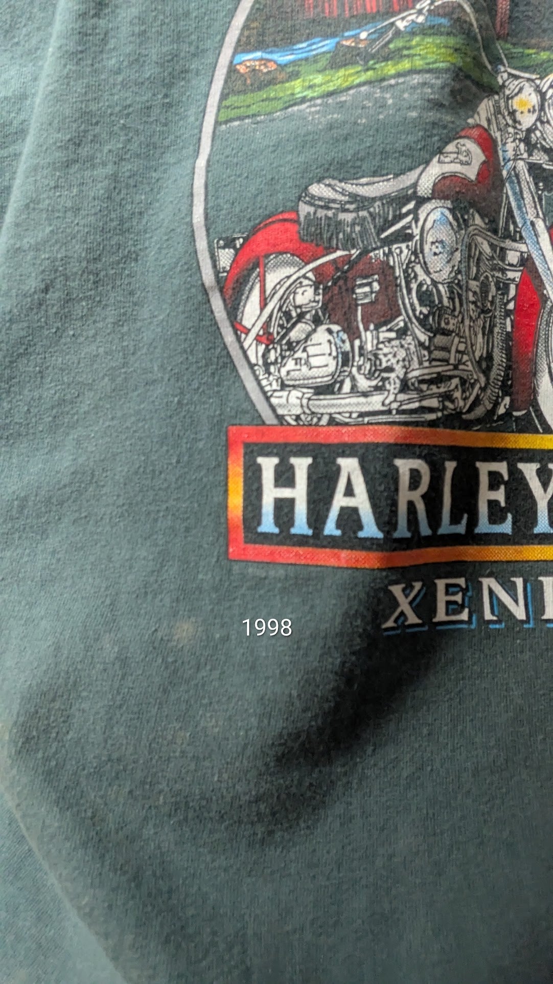 Vintage 1998-1999 Harley-Davidson Buckminn's Xenia Ohio Dealer T-Shirt Green Large