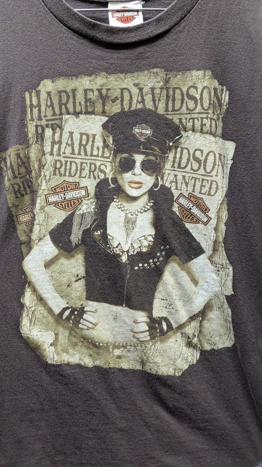 Harley-Davidson Los Cabos Mexico T-Shirt Men's Large Gray Double Sided Biker Graphic