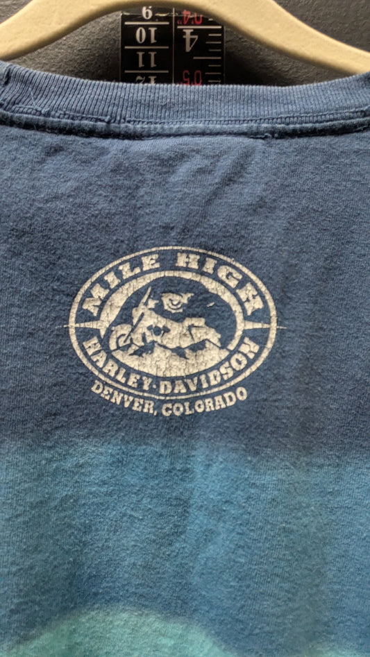 Harley Davidson Denver Colorado T Shirt kids Vintage Look Blue Faded Motorcycle