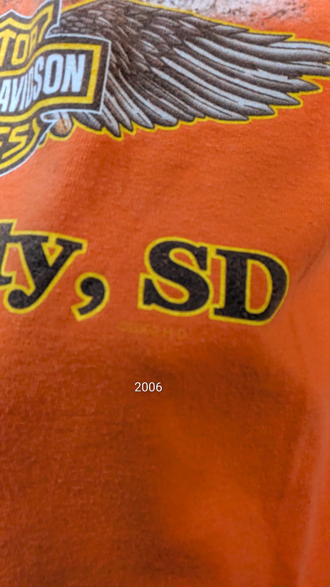 2005 Harley-Davidson Sturgis 65th Anniversary T-Shirt Men’s L Black Hills SD