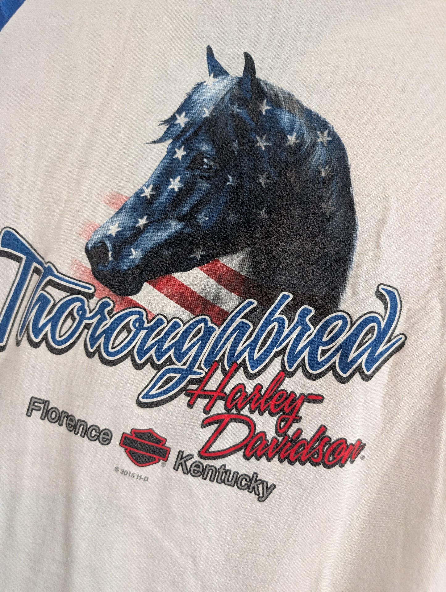 Harley-Davidson baseball team patriotic women's medium tshirt