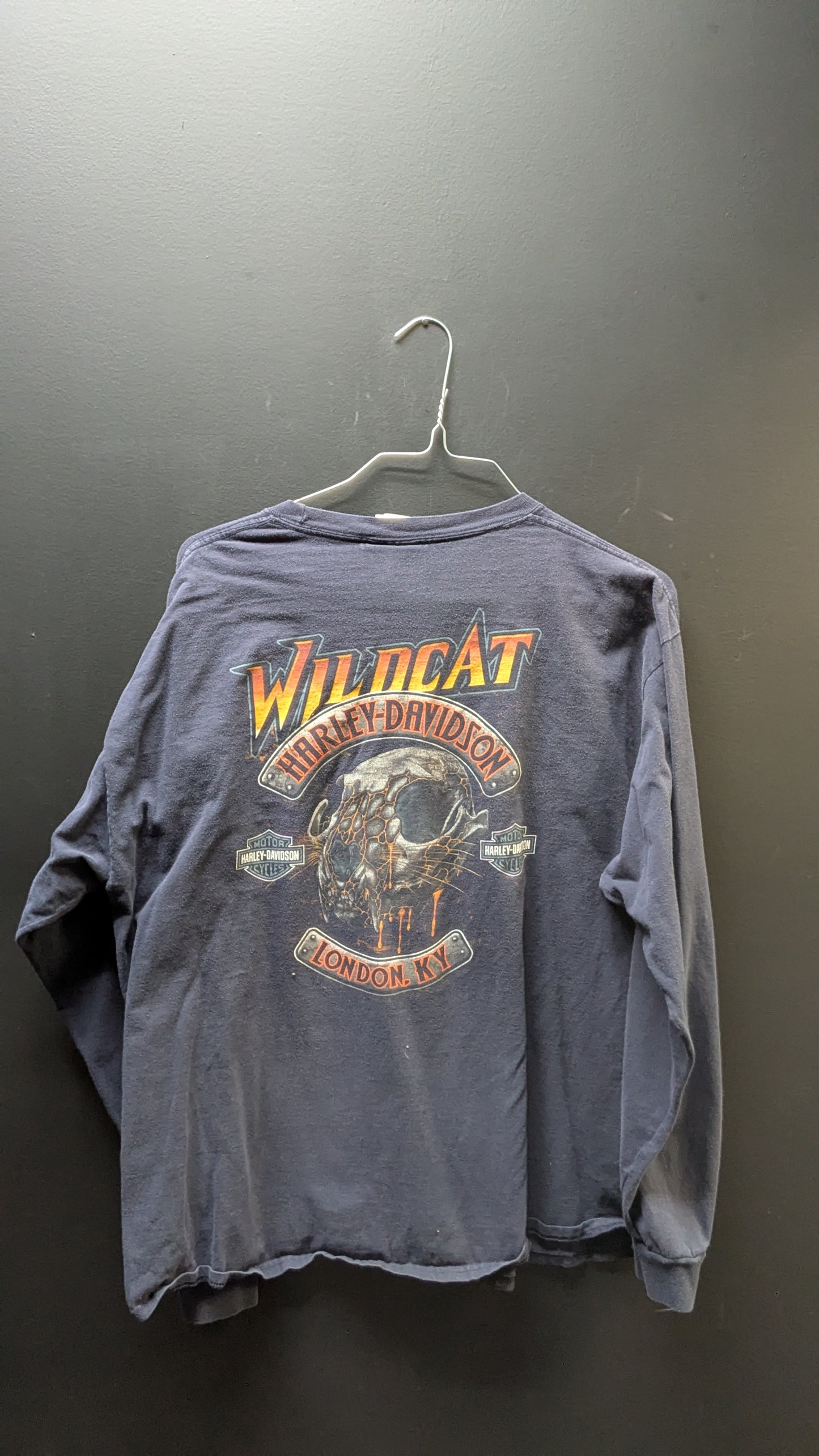 Harley Davidson Wildcat