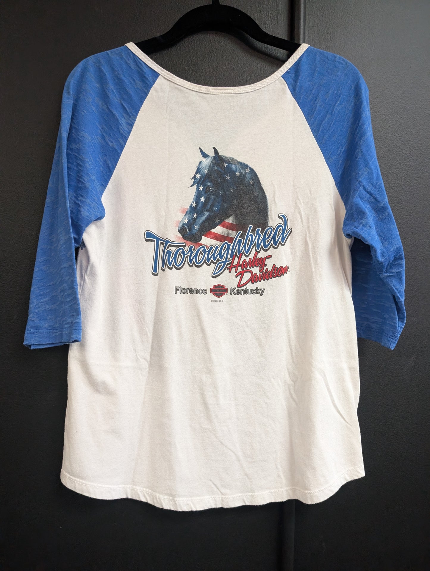 Harley-Davidson baseball team patriotic women's medium tshirt