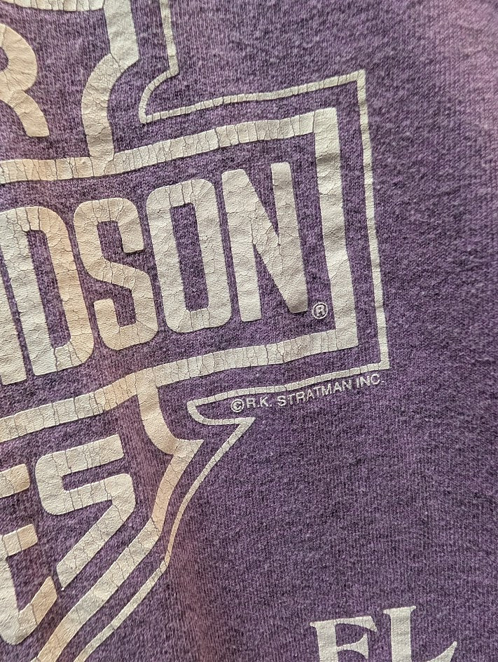 Harley-Davidson Gainesville FL 1996 Long Sleeve Shirt Purple Graphic Women’s Large