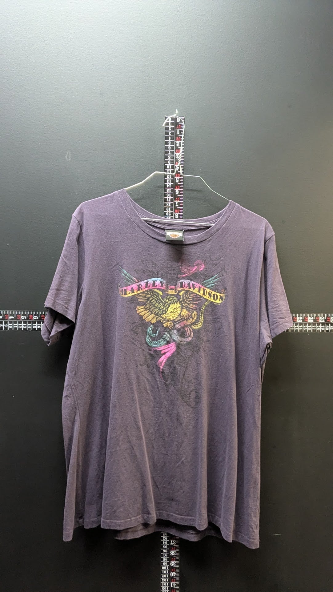 Harley-Davidson Women’s Purple Graphic Tee – Eagle Script (Sturgis, MI)