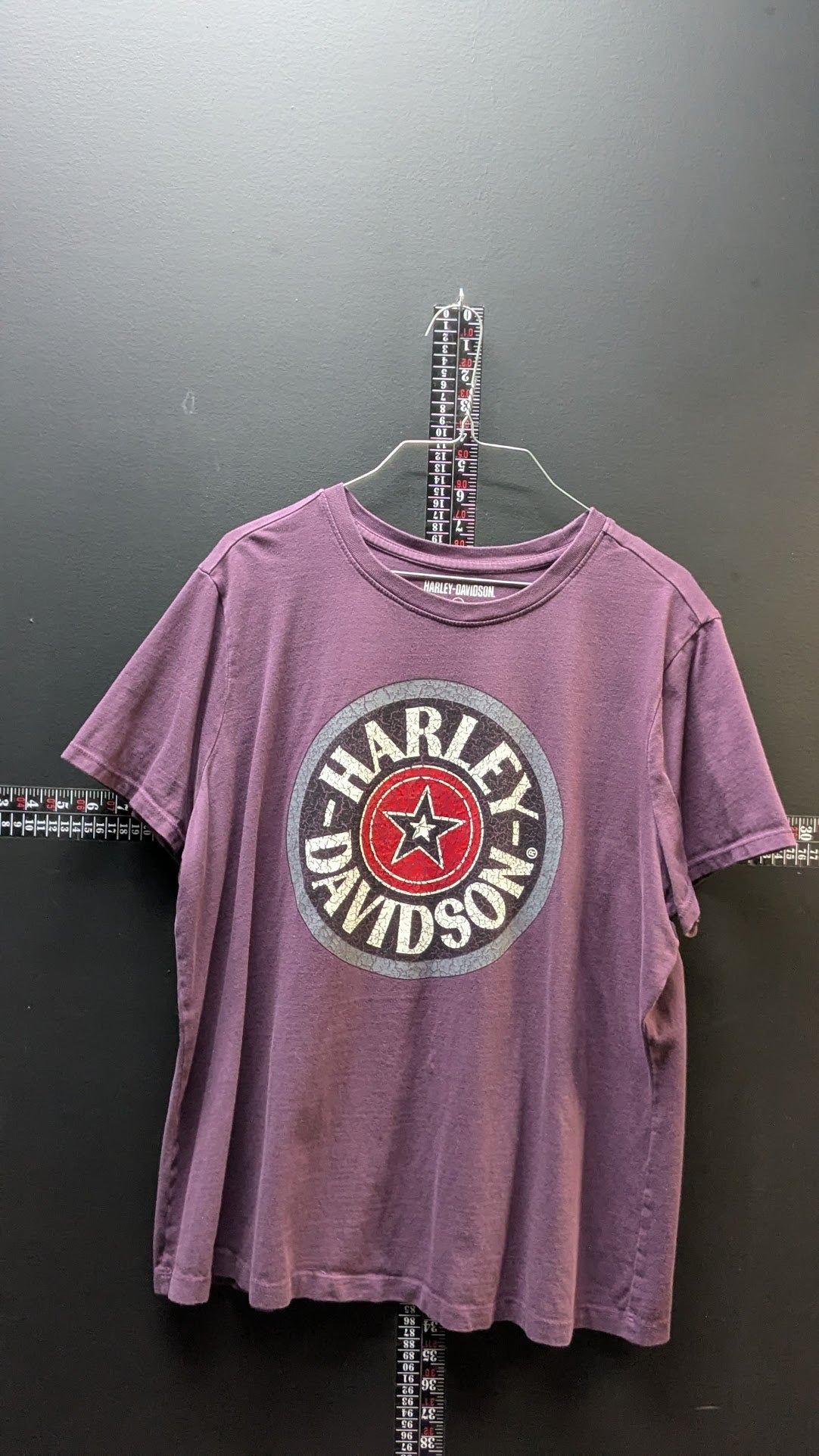 Harley-Davidson Women’s Purple Tee – Classic Circle Logo size 1w