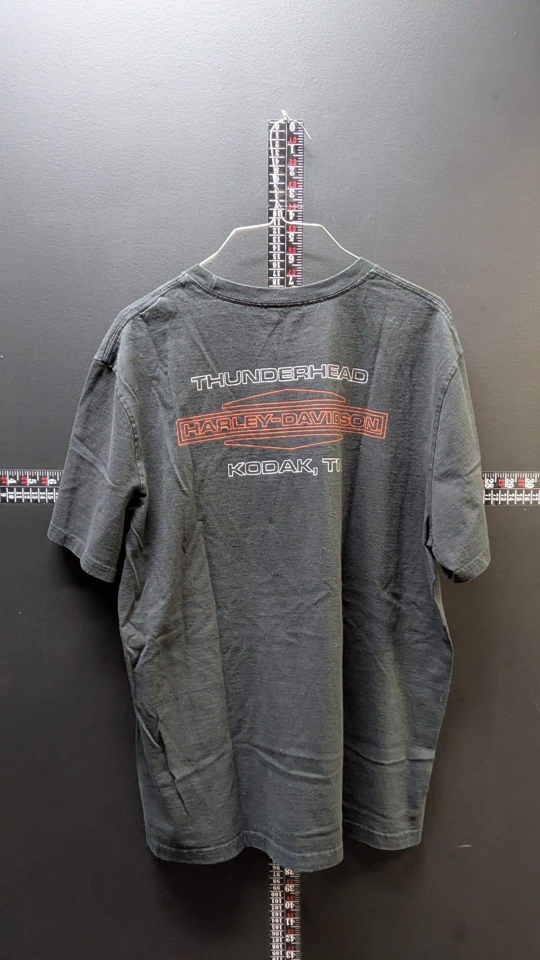 Harley-Davidson Flaming Skull T Shirt Men’s Large Black Thunderhead Kodak TN Tee