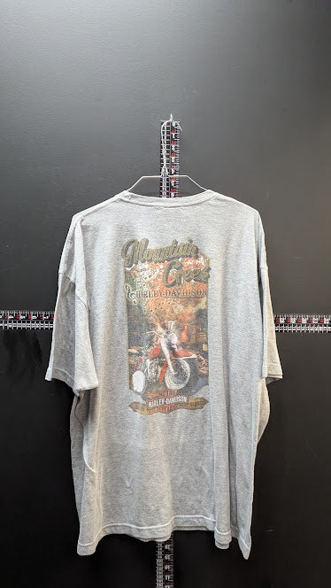 Vintage Harley-Davidson Mountain Creek T-Shirt Mens XXXL Gray Motorcycle Tee