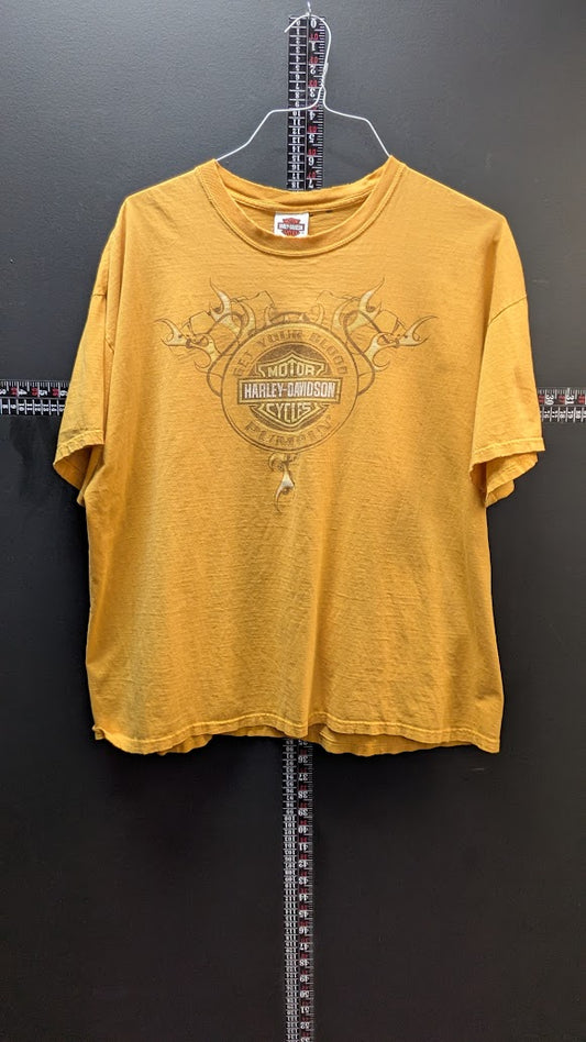 Y2K Harley-Davidson Distressed Biker Tee 2XL American Tonawanda NY