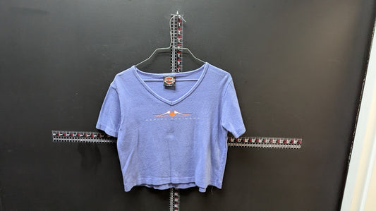 Vintage Harley-Davidson Women’s Blue Ribbed V-Neck Tee Shirt Y2K Size Large