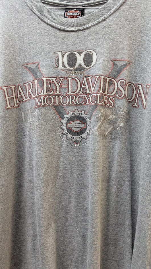 Vintage Harley-Davidson 100th Anniversary T-Shirt Men’s XL Gray Double Sided