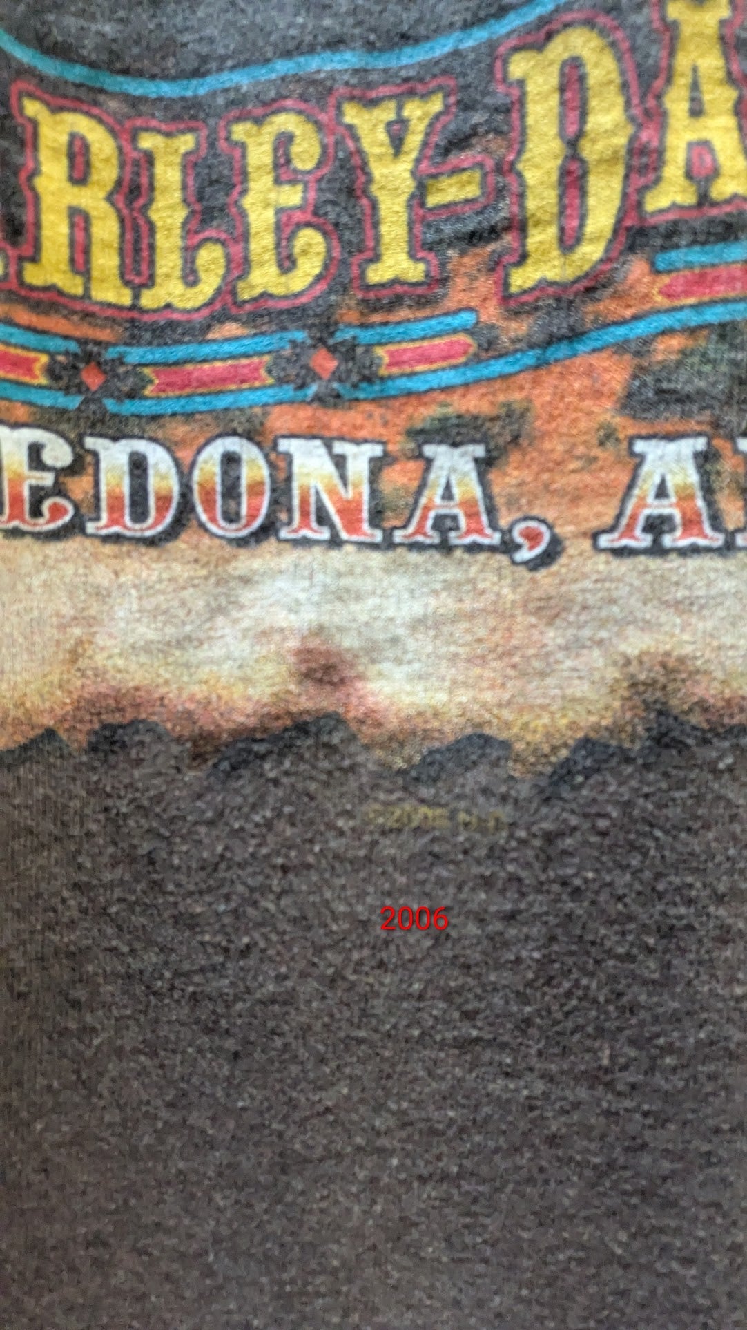 Harley-Davidson Sedona Arizona Ride To Live Pocket T-Shirt Large Brown 2006