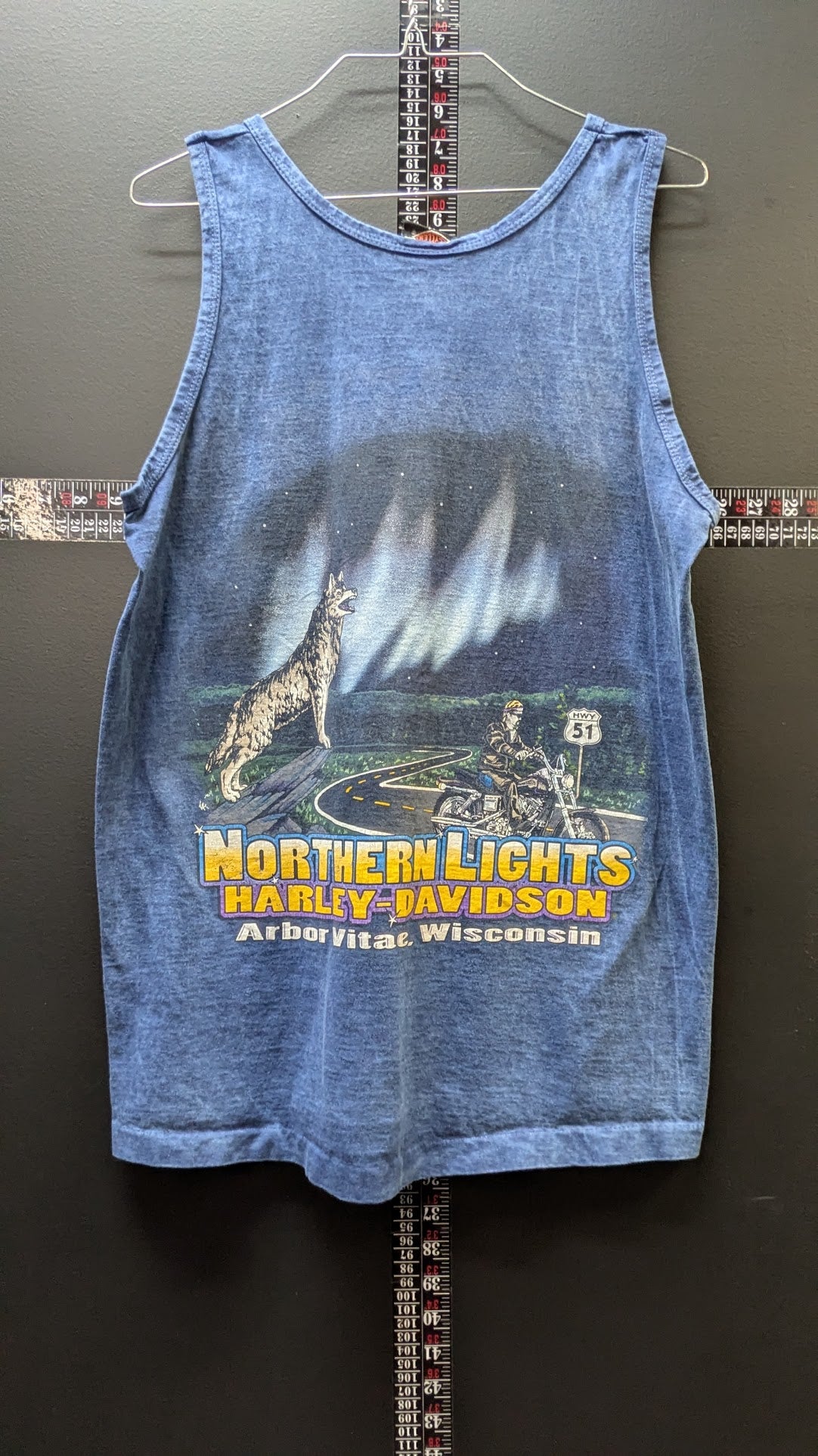 Harley-Davidson Northern Lights Wisconsin Tank Top Medium Blue Live Free Biker Shirt