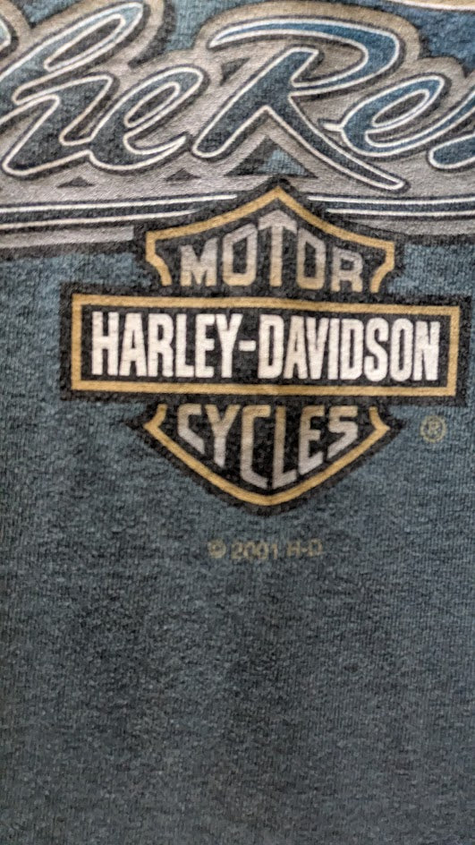 2001 Harley-Davidson Reno Nevada "Heads Above The Rest" T-Shirt – Size Medium