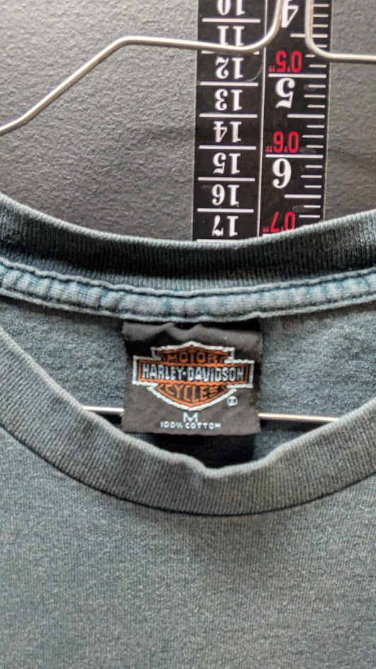 2001 Harley-Davidson Reno Nevada "Heads Above The Rest" T-Shirt – Size Medium