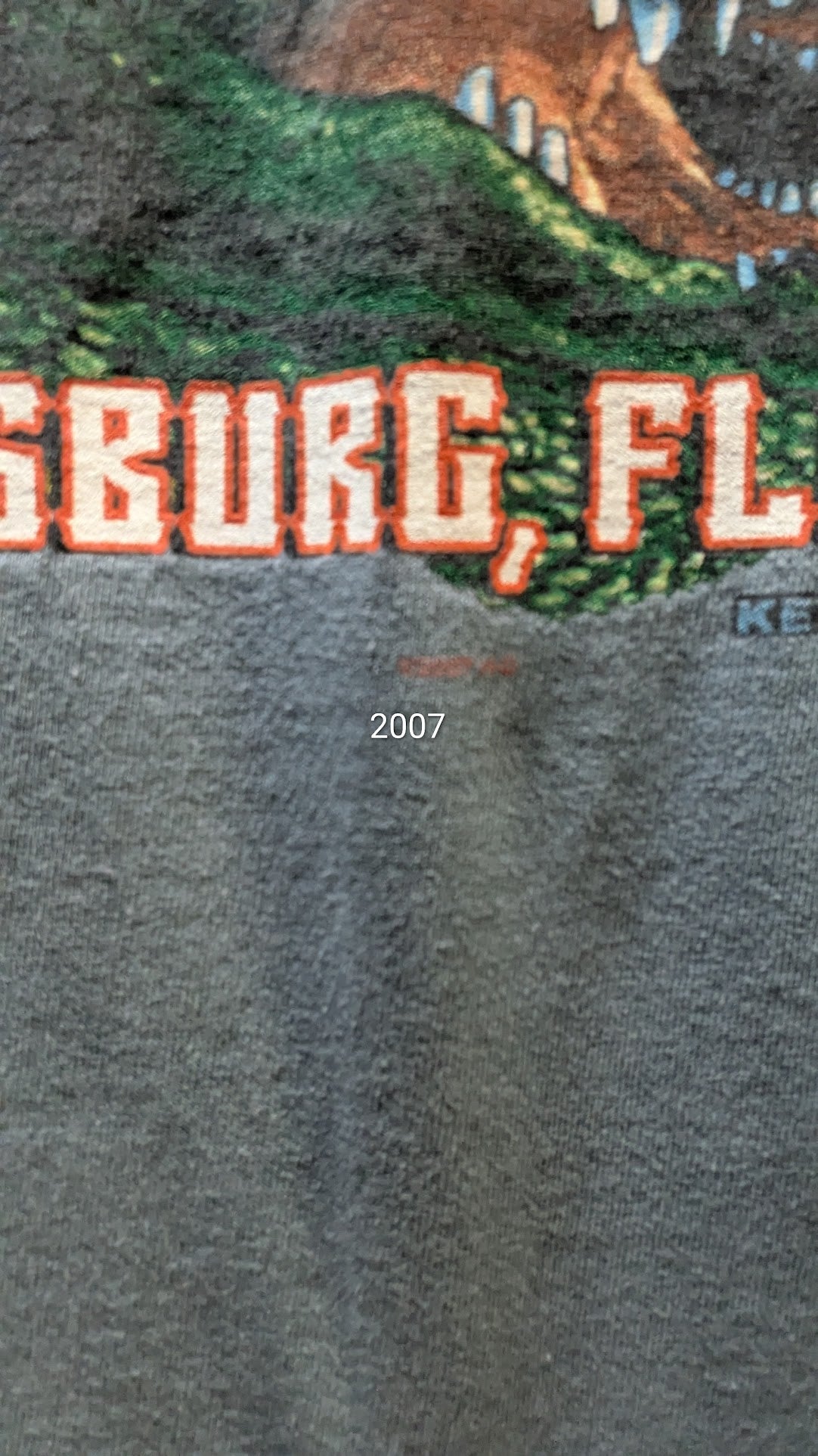 Harley-Davidson xl Gator Harley Long Sleeve Pocket T-Shirt Leesburg Florida Blue