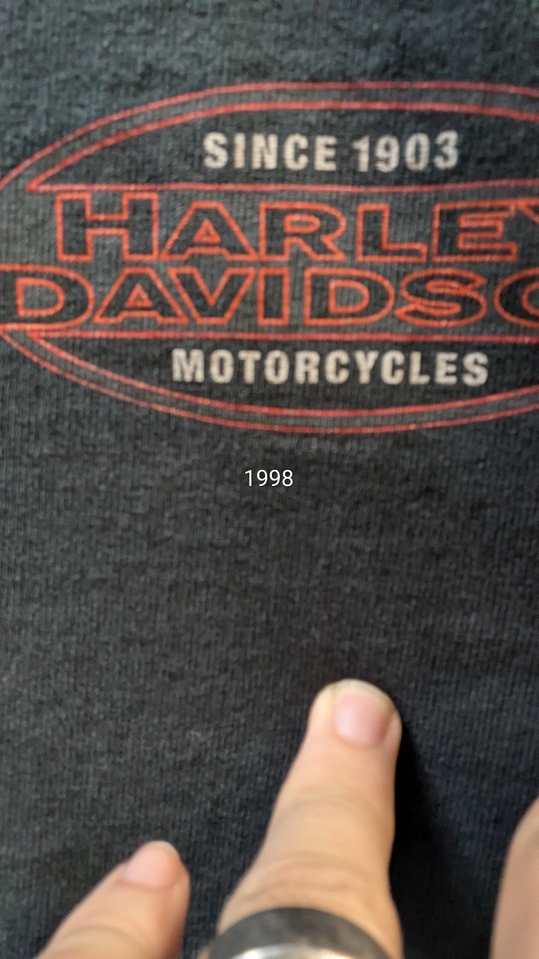 Vintage 1998 Harley-Davidson Kingman Arizona Henley T-Shirt – Size L