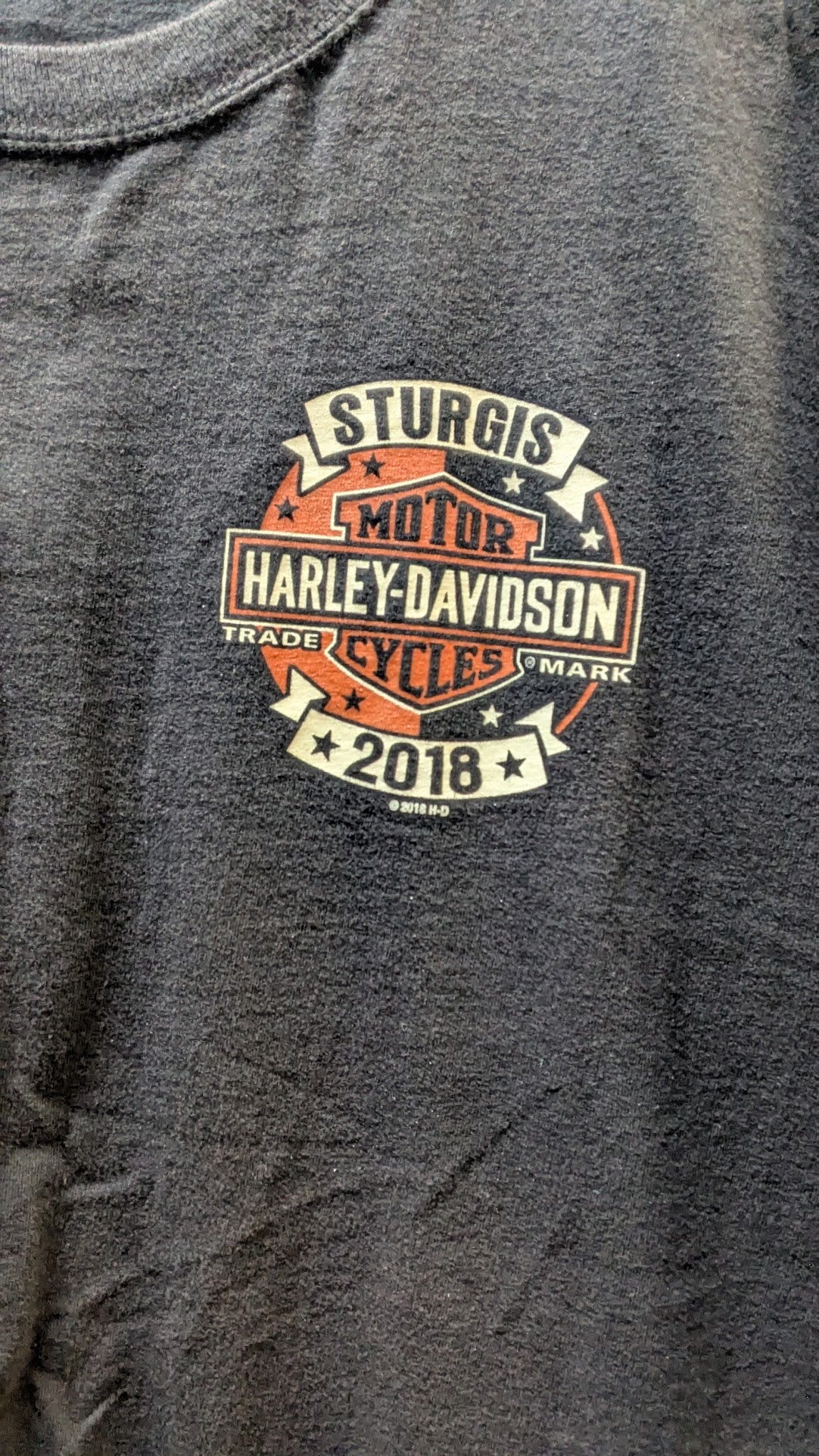 2018 Harley-Davidson Sturgis South Dakota T-Shirt – Faded Black Graphic Tee – Cut tag Fits Like Large