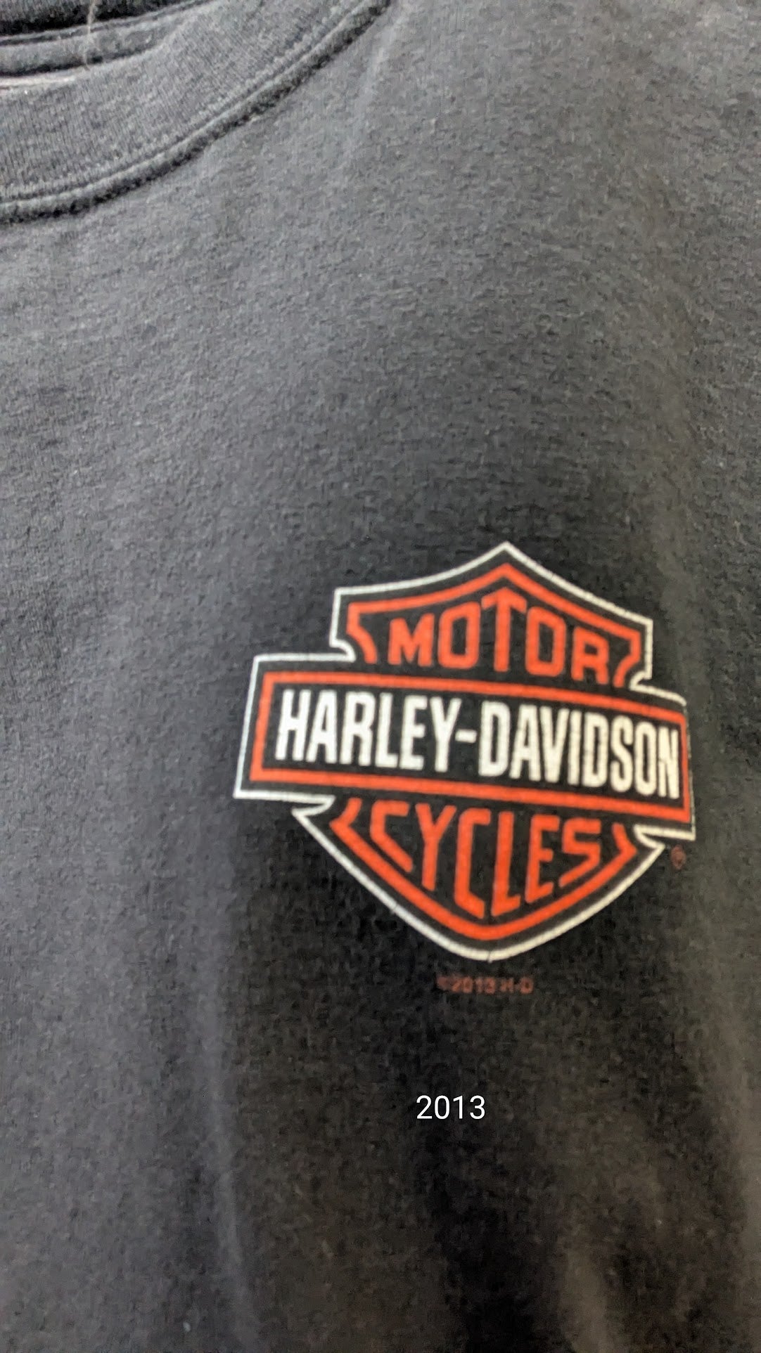 Harley-Davidson Superstition Apache Junction Arizona Dealer T-Shirt Gray Large