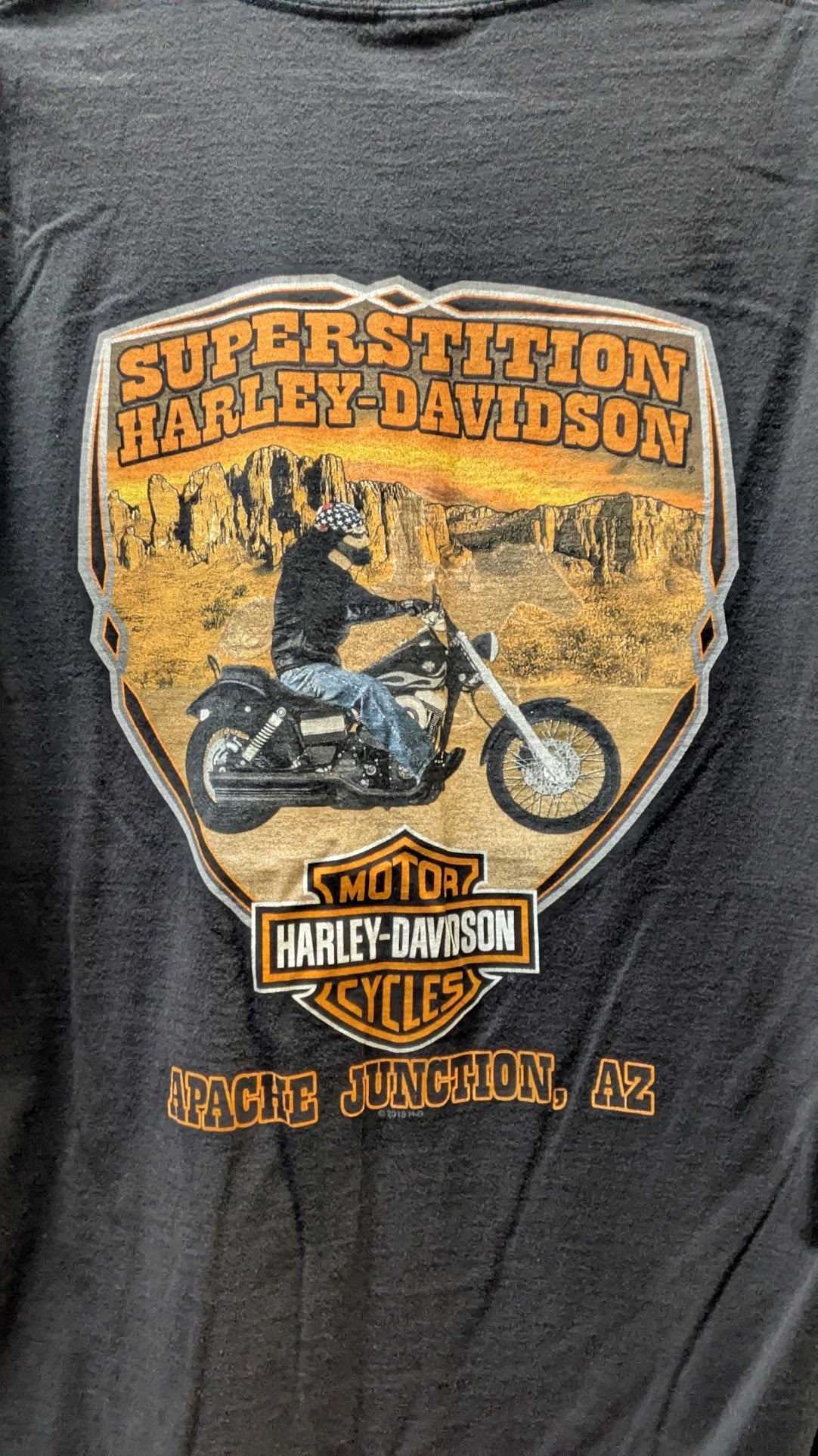Harley-Davidson Superstition Apache Junction Arizona Dealer T-Shirt Gray Large