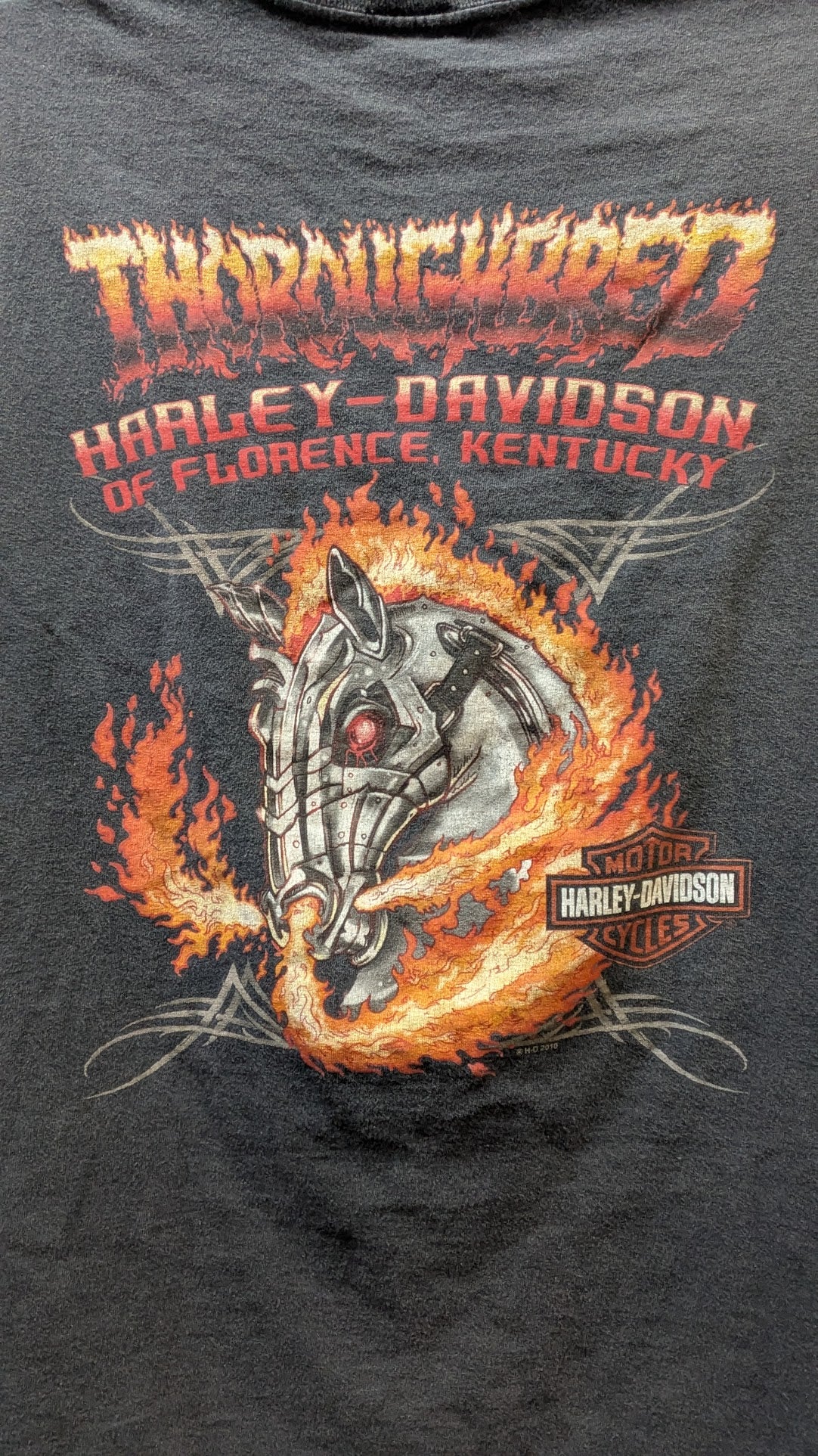 Harley-Davidson Florence Kentucky Skull Sleeveless Cut Off T-Shirt Men's Large Est Black