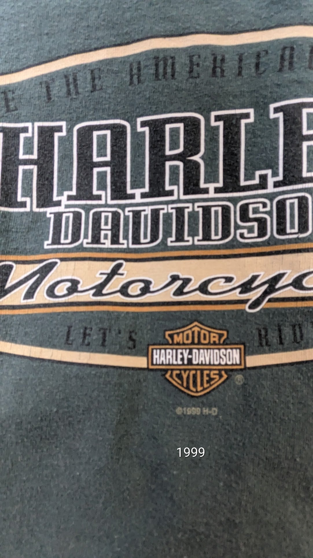 Vintage 1998-1999 Harley-Davidson Buckminn's Xenia Ohio Dealer T-Shirt Green Large
