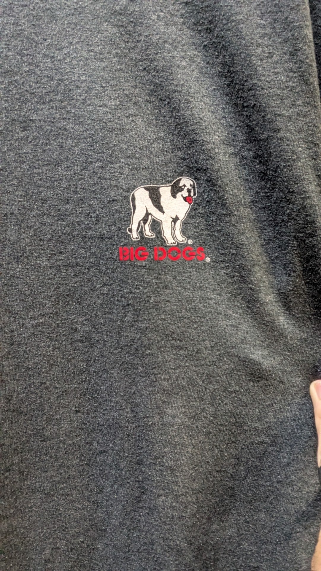 Big Dogs "Big Dogz" Ride to Live Motorcycle T-Shirt Men's Large Gray Biker Graphic Tee