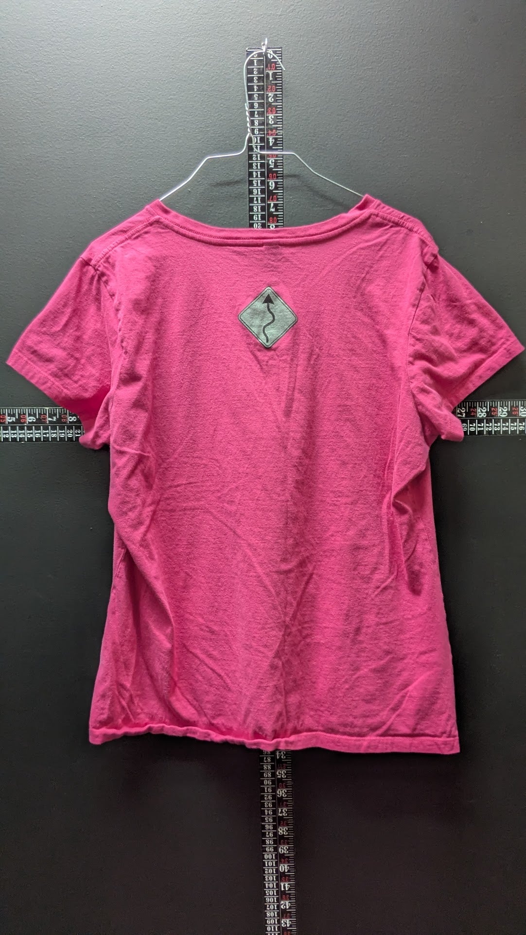 Deal's Gap Tail of the Dragon Women's Pink V-Neck T-Shirt Motorcycle Rider Tee