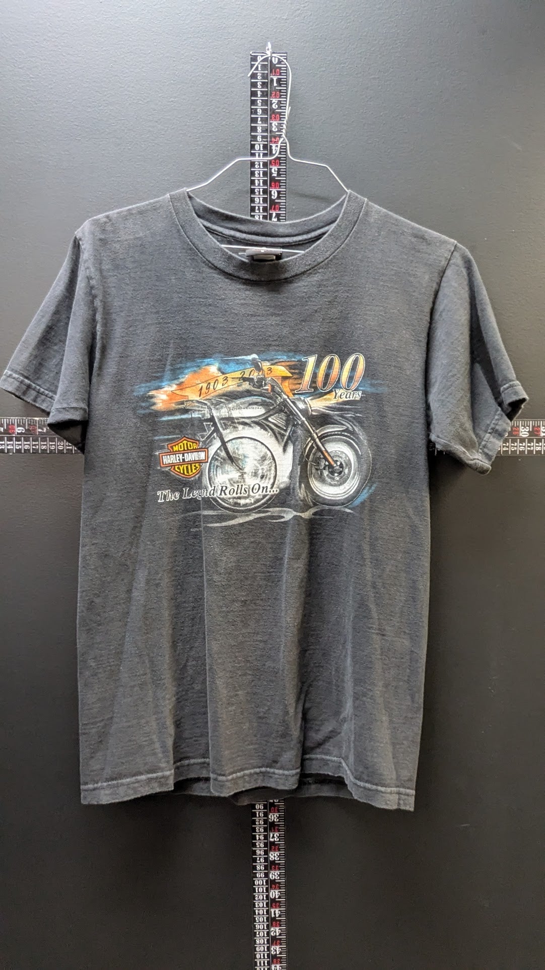 Vintage 2002 Harley-Davidson 100th Anniversary Outer Banks T-Shirt Men's Medium Gray