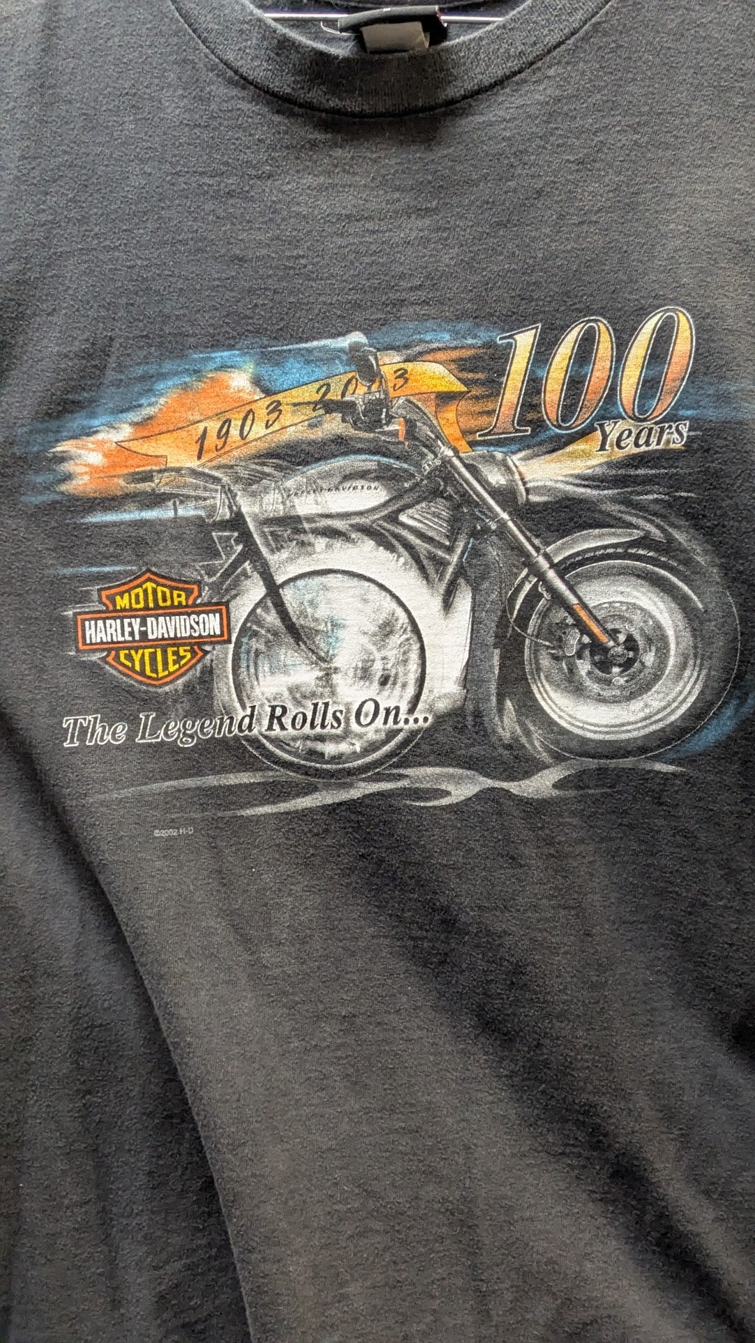 Vintage 2002 Harley-Davidson 100th Anniversary Outer Banks T-Shirt Men's Medium Gray