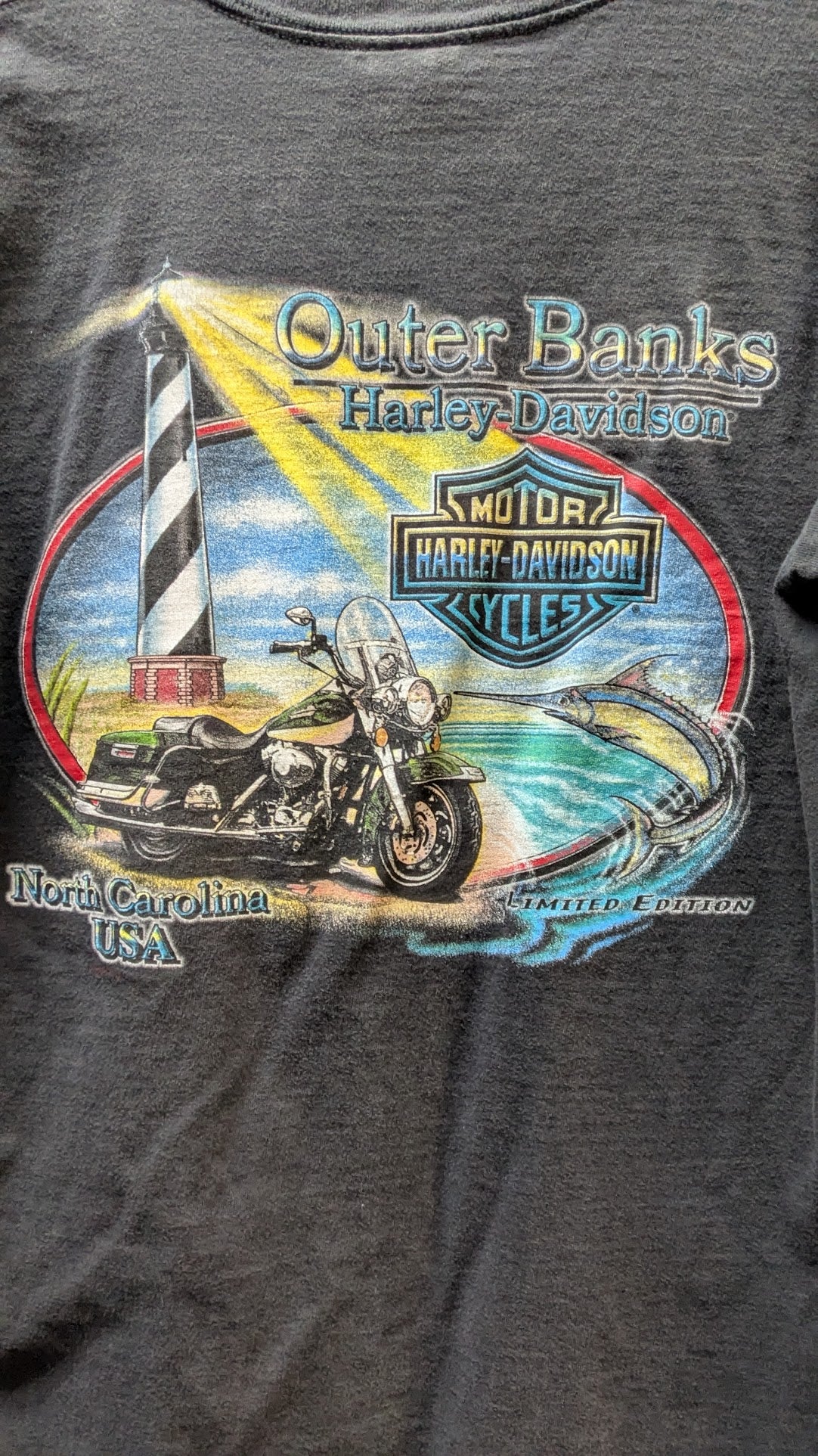 Vintage 2002 Harley-Davidson 100th Anniversary Outer Banks T-Shirt Men's Medium Gray