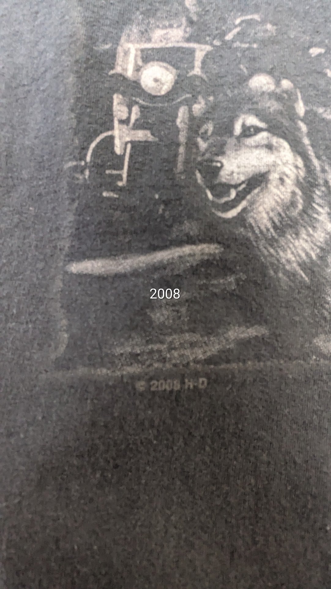 Vintage Harley-Davidson Low Country Charleston SC Wolf T-Shirt Men's Large Black USA Made