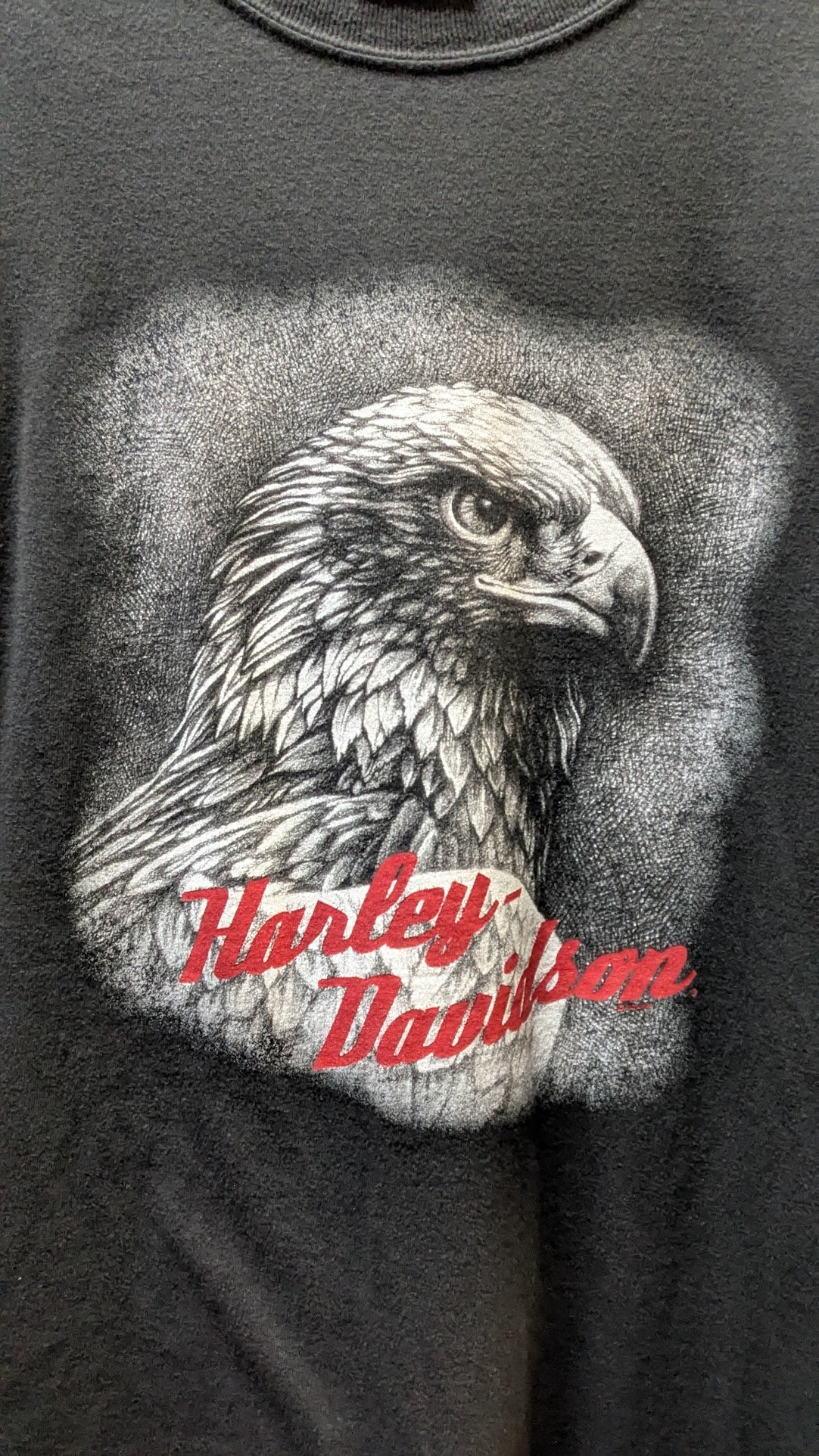 Harley-Davidson T-Shirt Men's Large Black Outer Banks North Carolina Eagle Double-Sided