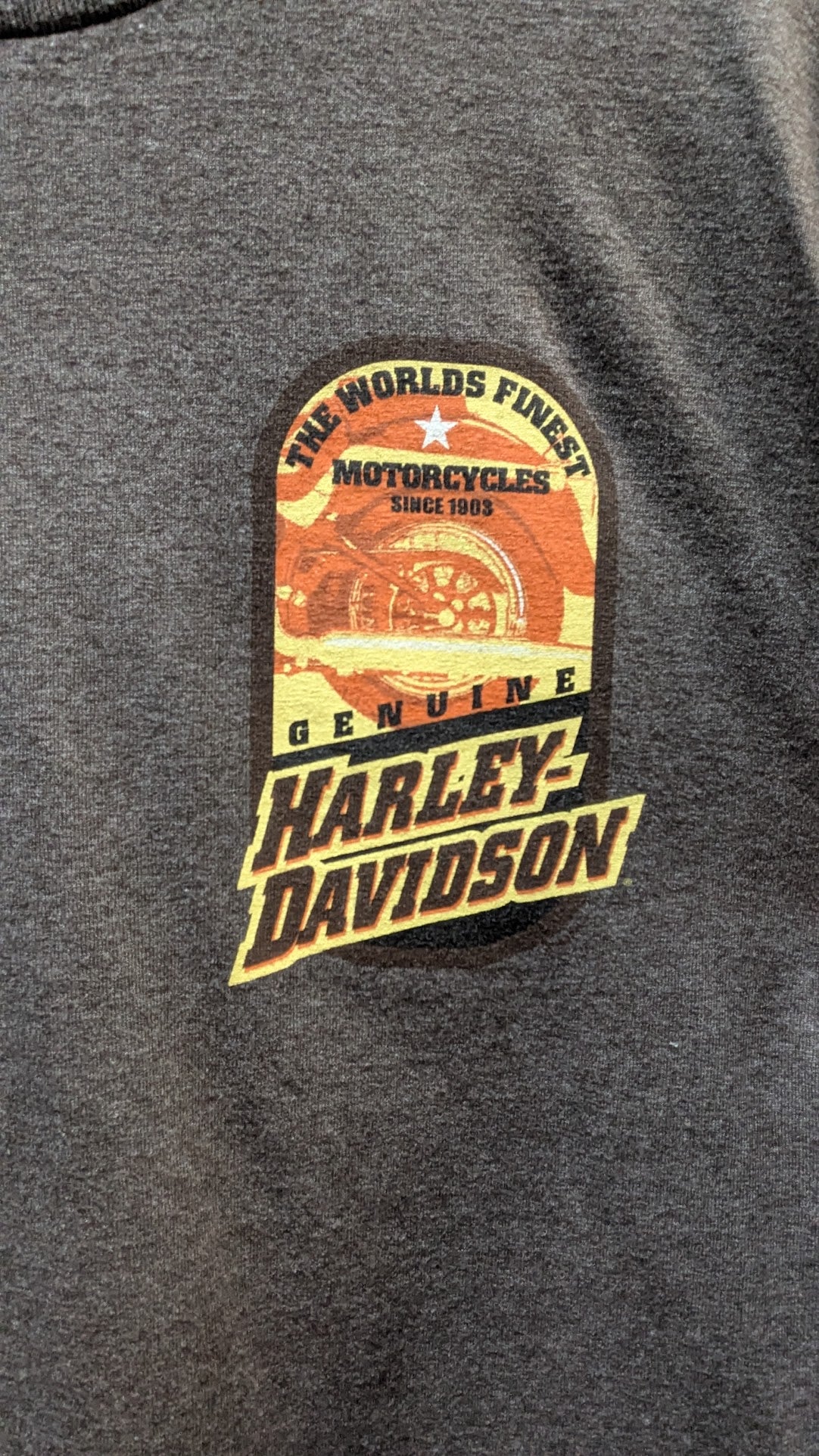 Harley-Davidson T-Shirt Men's Large Gray Heather Outer Banks Eagle Graphic Double-Sided