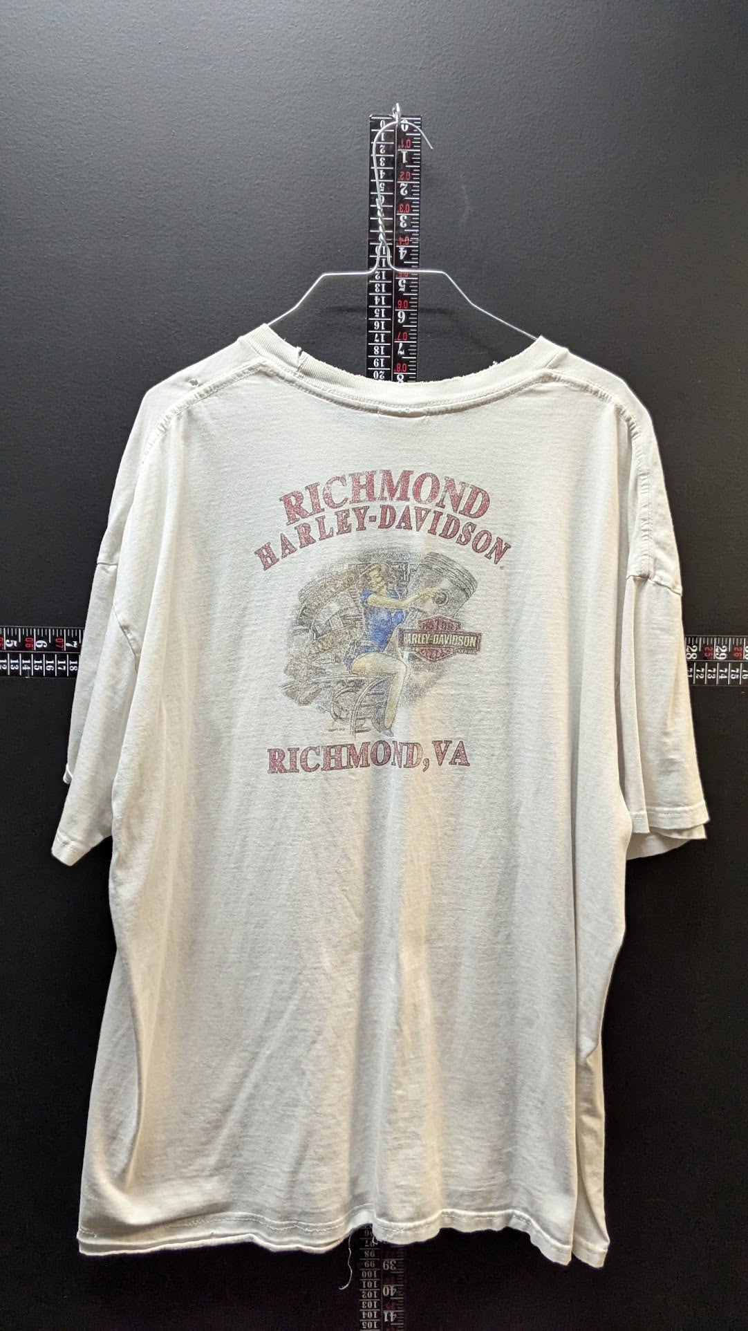 Harley-Davidson Richmond VA Pocket T-Shirt Men's 2XL White Pin Up Distressed