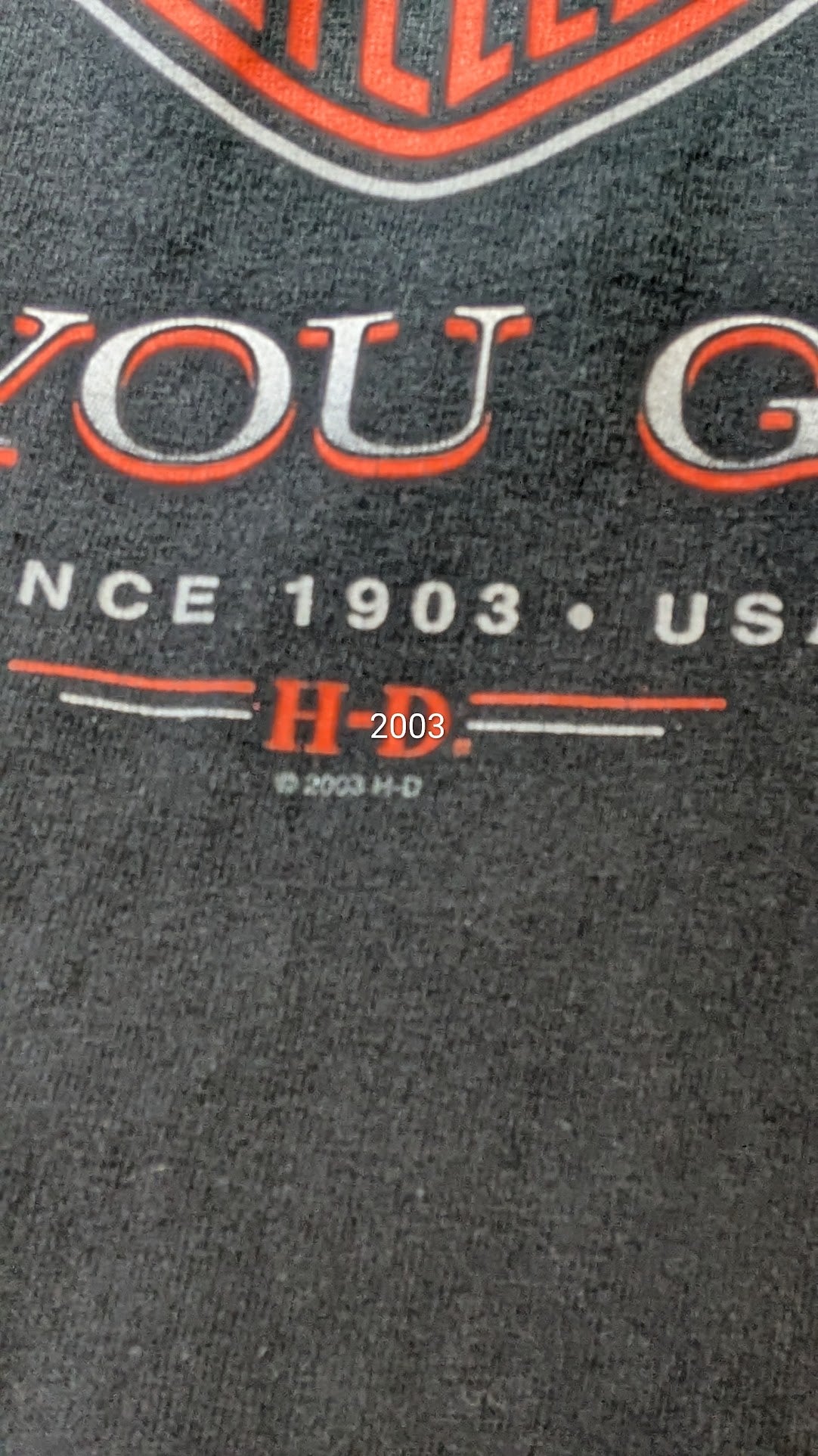 Harley-Davidson Walters Bros Peoria IL T-Shirt Men's Black Double Sided XL