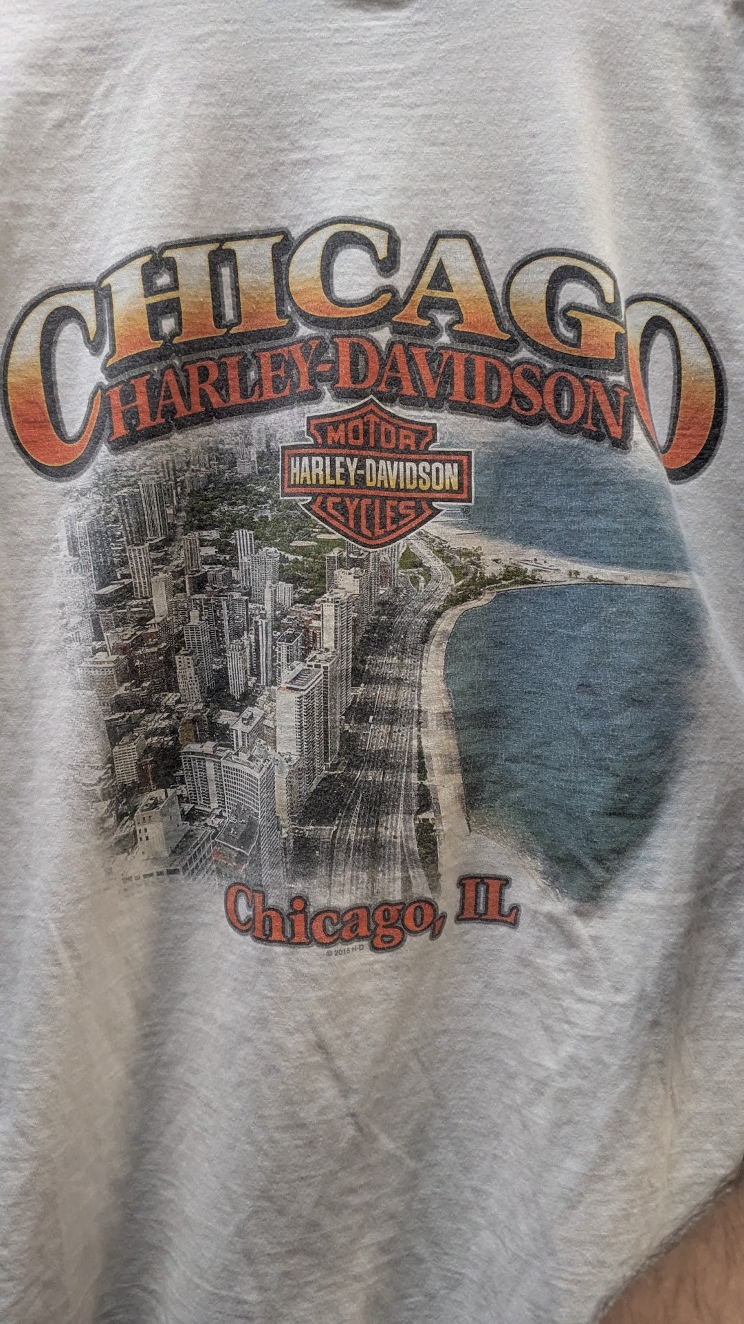Harley-Davidson T-Shirt Men's White Chicago Illinois Skyline Double Sided Biker Tee