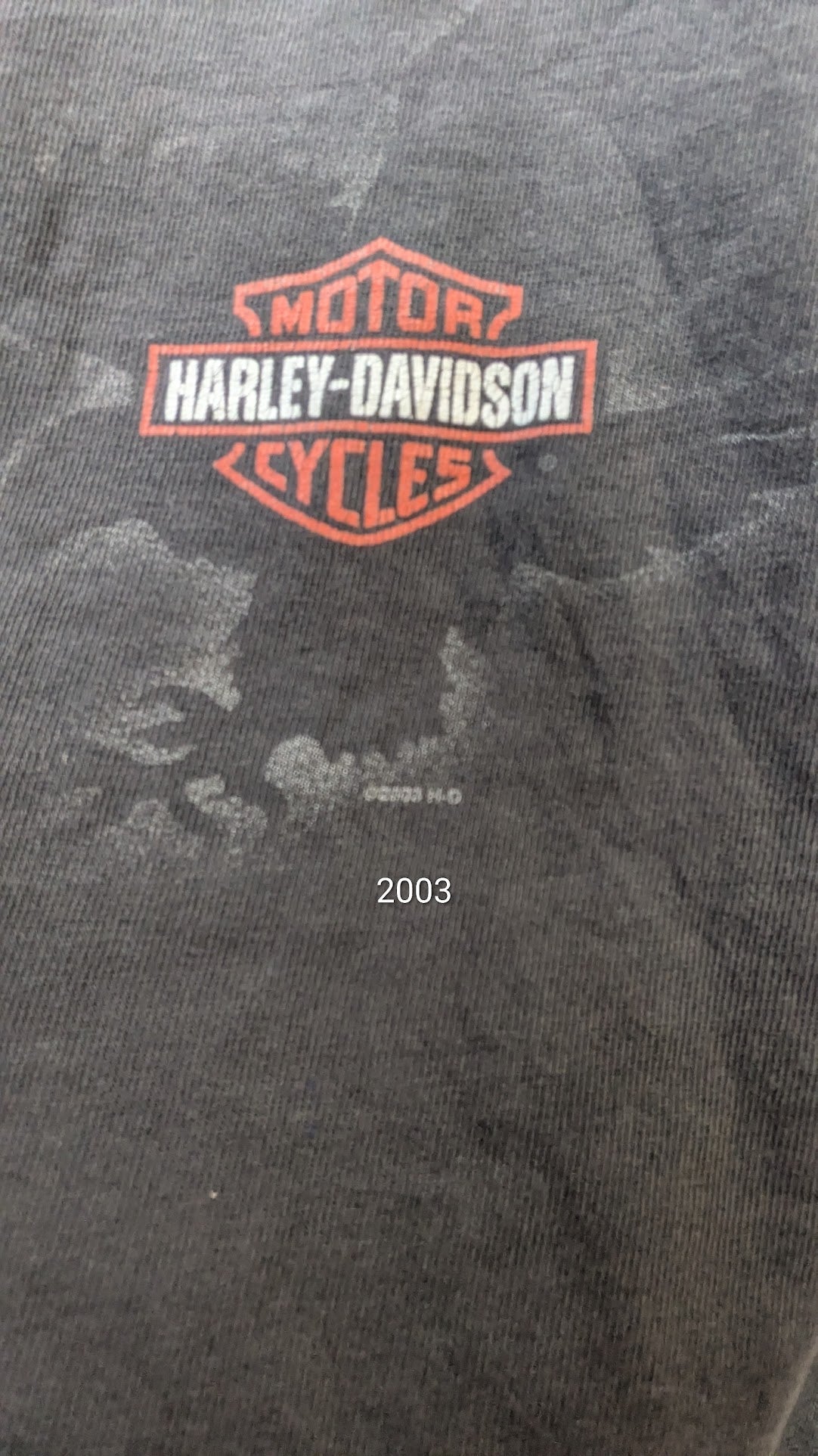 Harley-Davidson of Erie PA T-Shirt Men's Gray Eagle Pirate Ship Double Sided USA