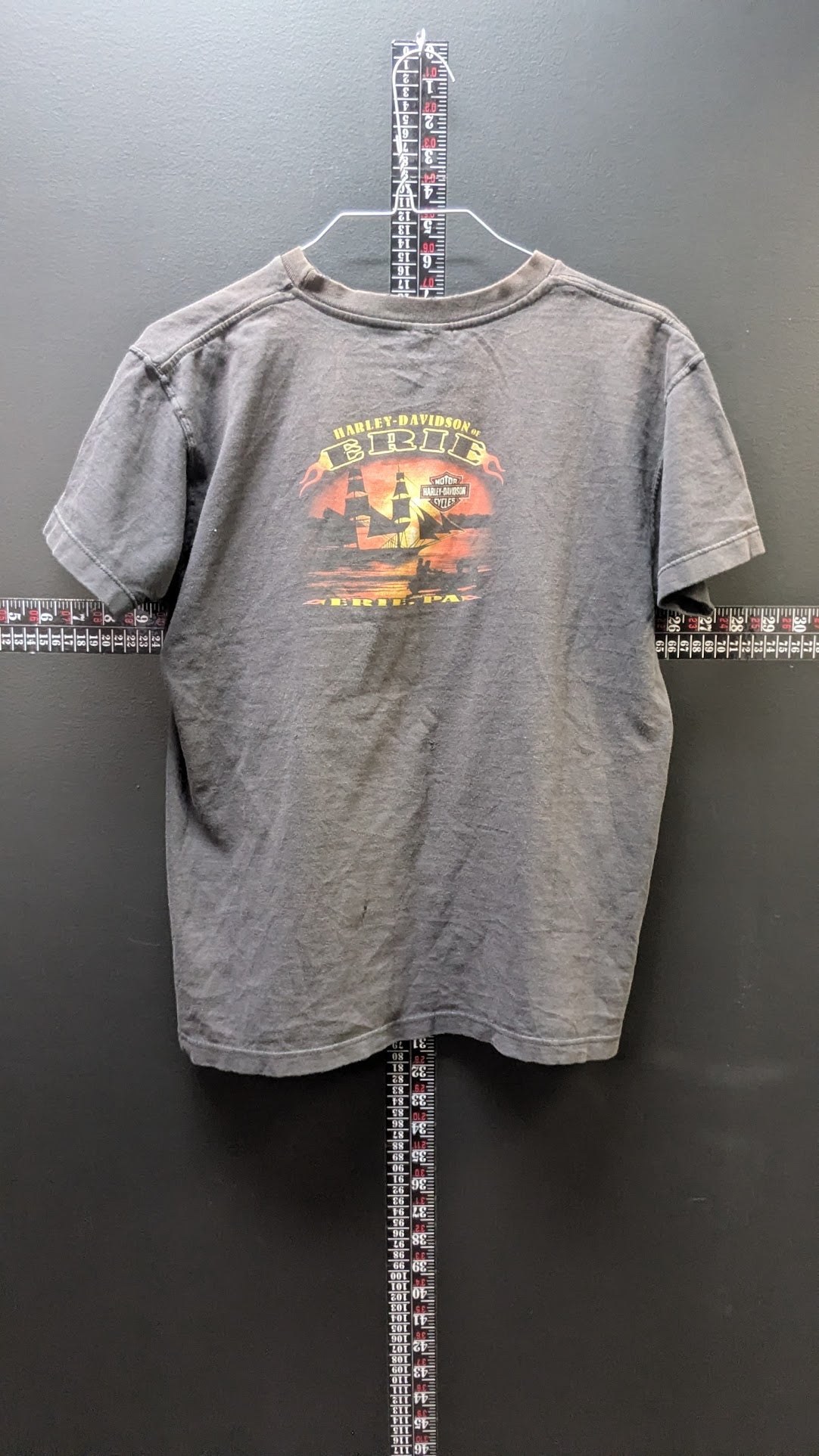 Harley-Davidson of Erie PA T-Shirt Men's Gray Eagle Pirate Ship Double Sided USA