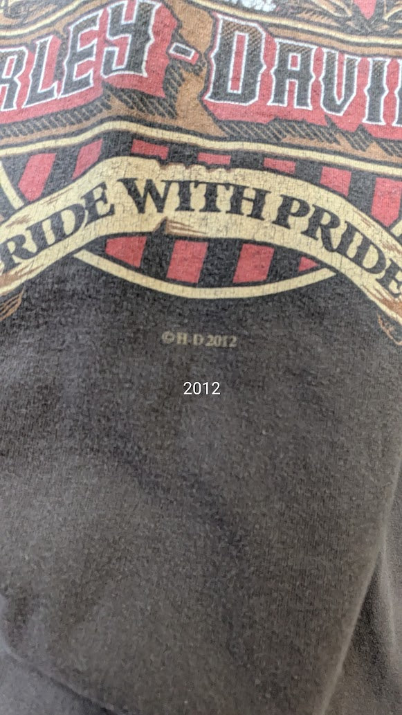 Harley-Davidson Live Free Ride With Pride T-Shirt Men's XL Brown Eagle Graphic Double Sided