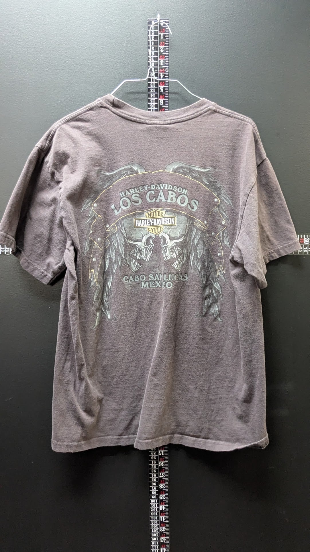 Harley-Davidson Los Cabos Mexico T-Shirt Men's Large Gray Double Sided Biker Graphic