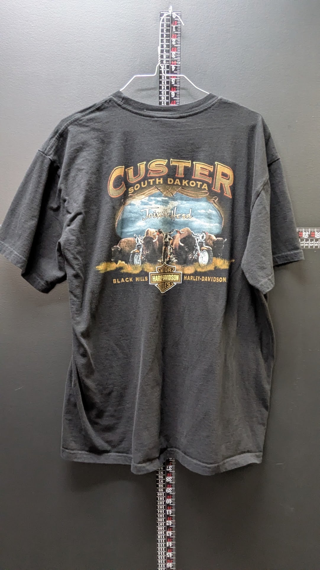 2009 Harley-Davidson Custer SD T-Shirt Men's Black Vertical Logo Buffalo Sturgis 2XL