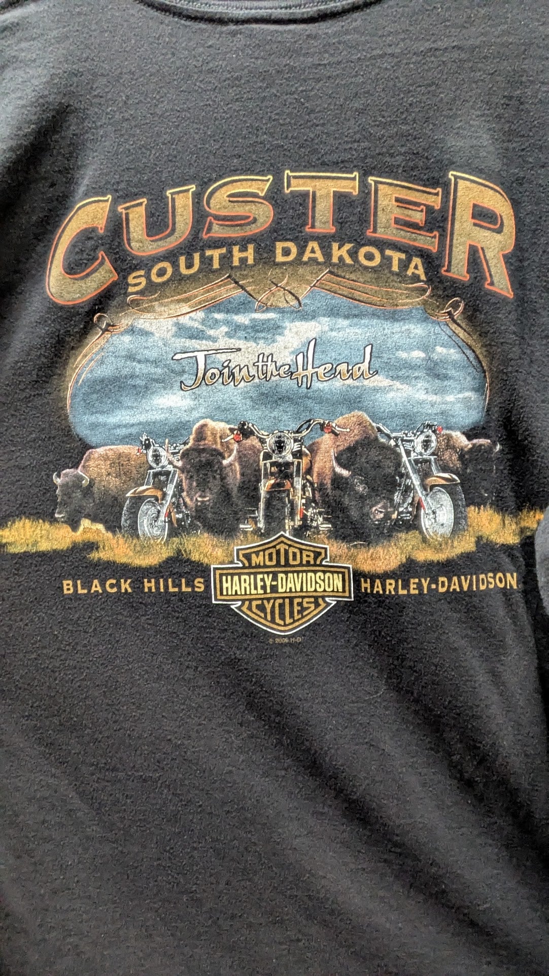 2009 Harley-Davidson Custer SD T-Shirt Men's Black Vertical Logo Buffalo Sturgis 2XL