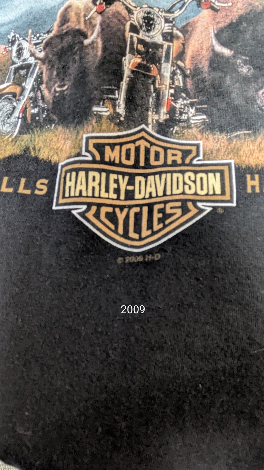 2009 Harley-Davidson Custer SD T-Shirt Men's Black Vertical Logo Buffalo Sturgis 2XL