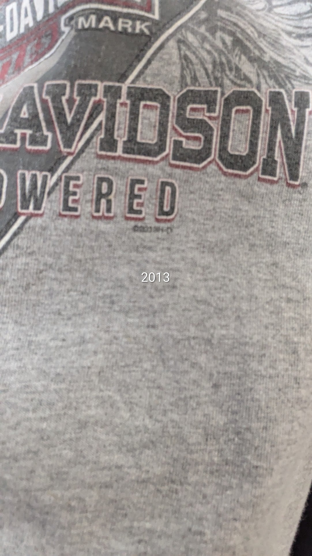 Harley-Davidson Orlando Florida 1903 Graphic T-Shirt Gray Size XL