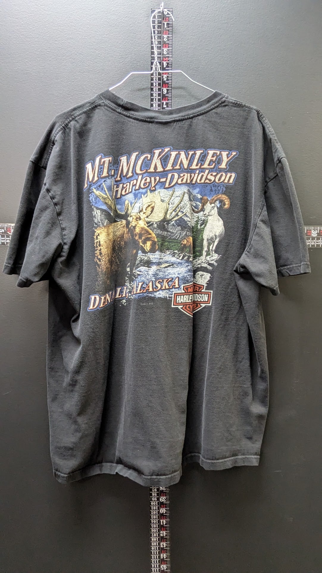 Harley-Davidson Mt. McKinley Dealer T-Shirt – Denali, Alaska – Destination Unknown – Black – Size Large